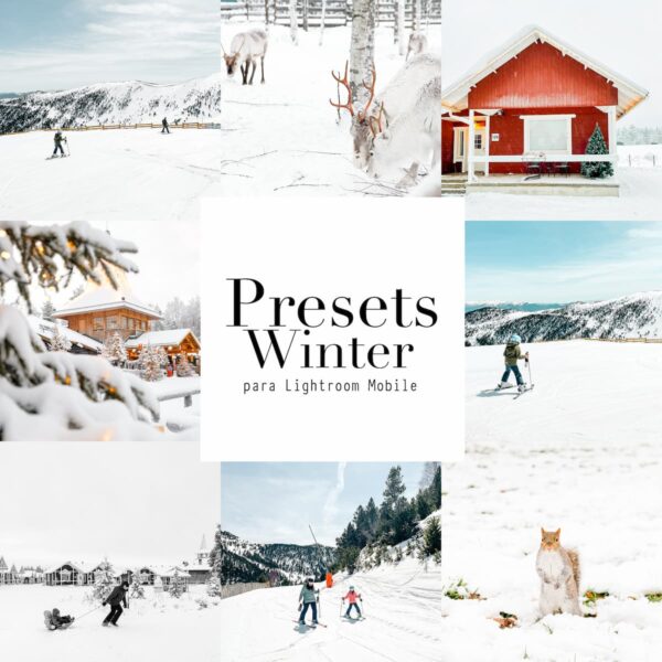 Presets Winter