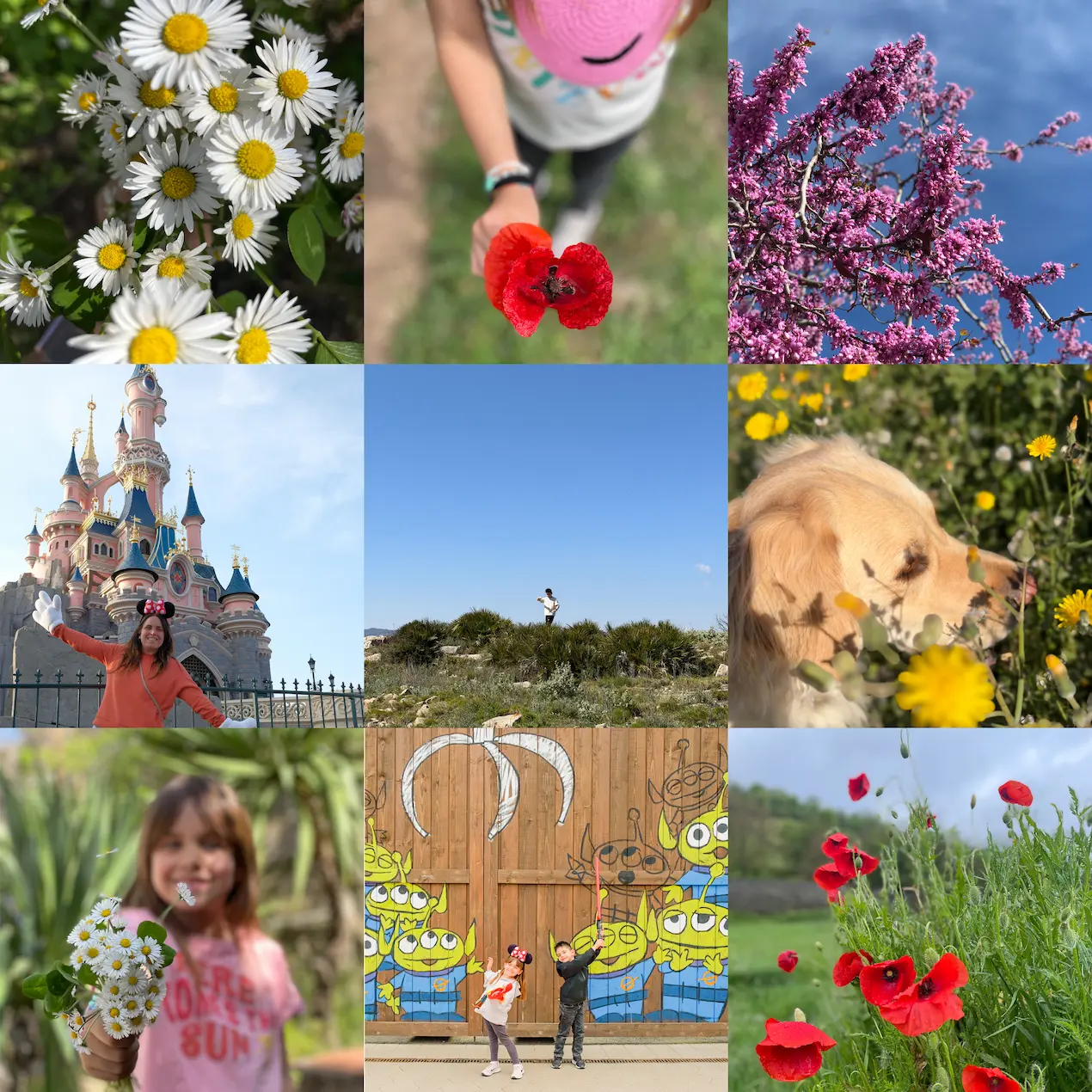 Preset Lightroom Ann's Miles