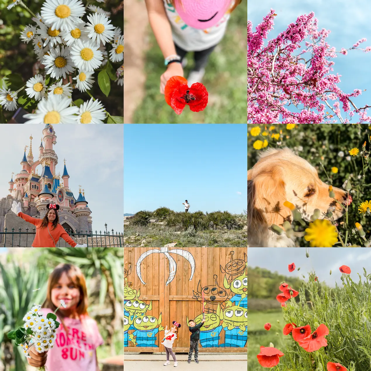 Preset Lightroom Ann's Miles