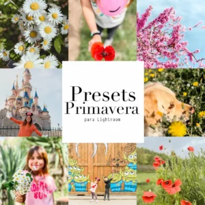 Preset Lightroom Ann's Miles